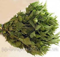 Все про лазні, Російська лазня для душі і тіла, Правильно паримося в російській лазні