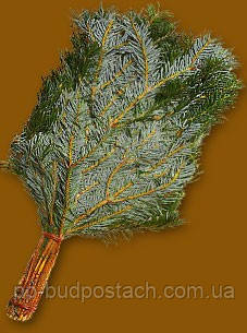 Все про лазні, Російська лазня для душі і тіла, Правильно паримося в російській лазні