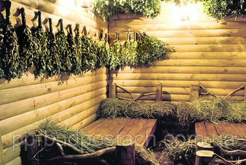 Все про лазні, Російська лазня для душі і тіла, Правильно паримося в російській лазні