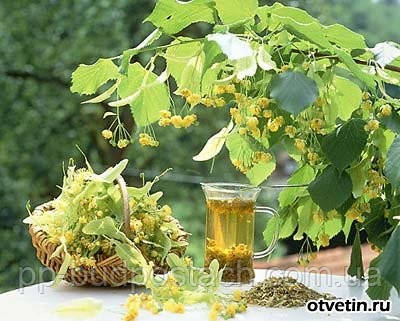 Все про лазні, Російська лазня для душі і тіла, Правильно паримося в російській лазні