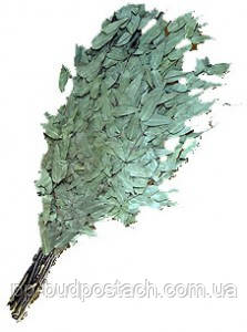 Все про лазні, Російська лазня для душі і тіла, Правильно паримося в російській лазні