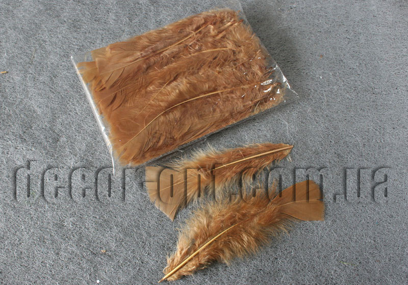 Пір'я кавове 11-15 см 50 шт.