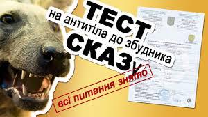 ТЕСТ на наявність антитіл до СКАЗу. Скільки він діє? Де його робити?