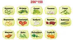 Дидактичний матеріал: "Овочі та фрукти "