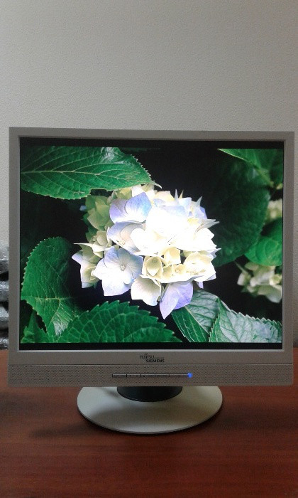 Монітор б.у Fujitsu ScenicView P19-2