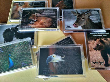 Акриловые магниты и брелоки с фото на заказ 4