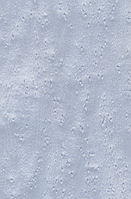 Шпон, Клен "Пташиний Очей" Фарбований Табу Арт. 05.041