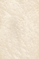 Шпон, Клен "Пташиний Очей" Фарбований Табу Арт. 05.051