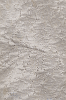 Шпон, Клен "Пташиний Очей" Фарбований Табу Арт. 05.054