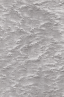 Шпон, Клен "Пташиний Очей" Фарбований Табу Арт. 05.055