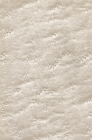 Шпон, Клен "Пташиний Очей" Фарбований Табу Арт. 05.057