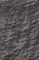 Шпон, Клен "Пташиний Очей" Фарбований Табу Арт. 05.059