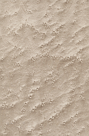 Шпон, Клен "Пташиний Очей" Фарбований Табу Арт. 05.061