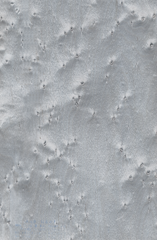 Шпон, Клен "Пташиний Очей" Фарбований Табу Арт. 05.070, фото 1