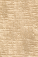 Шпон Сікамор Фризі фарбований Табу Арт. 09.S.003