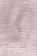 Шпон Сікамор Фризі фарбований Табу Арт. 09.S.090