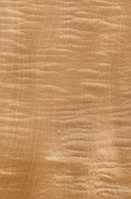 Шпон Сікамор Фризі фарбований Табу Арт. 09.S.091