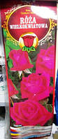 Роза крупноцветочная Venrosa