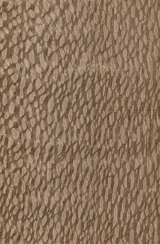 Шпон Карбальйо Фарбований Табу Арт. 81.053, фото 1