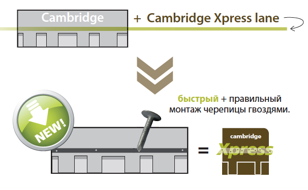 черепица IKO Cambridge черепица IKO Cambridge