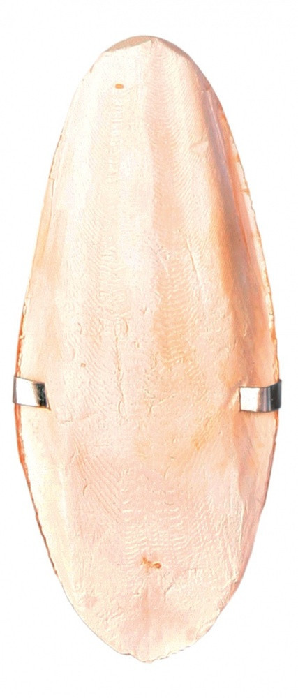 Крейда сепія Trixie Cuttle Fish Bone для птахів з тримачем, 16 см