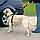 Пояс-шлея Trixie Car Harness для собак у автомобіль, 80-110 см, фото 4