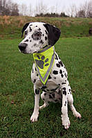 Бандана Trixie Neckerchief для собак светоражающая L-XL