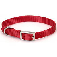 Нашийник Coastal Nylon Web для кішок, 20 см