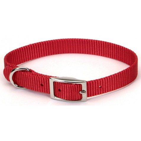 Нашийник Coastal Nylon Web для собак, 20 см
