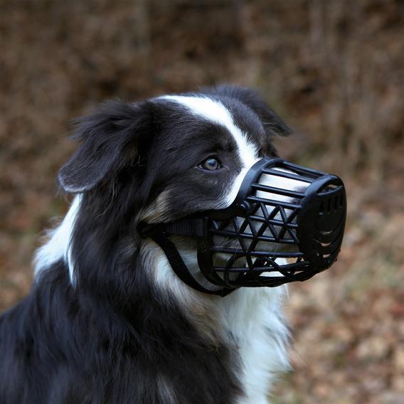 Намордник Trixie Muzzle для собак пластиковий L, обхват морди 26 см