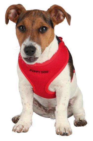Поводок+шлейка-жилетка Trixie Puppy Soft Harness для щенков, 33-47 см