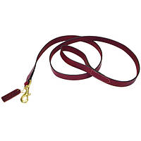 Повідець Coastal Circle-T для собак шкіряний 2 см, 1.2 м
