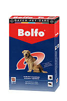 Ошейник Bayer Bolfo (Больфо) блох и клещей для собак и кошек, 66 см