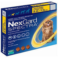 Таблетка NexGard Spectra бліх та кліщів для собак, 3.5-7.5 кг 1таб