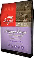 Сухий корм Orijen Puppy Large 38/16 для цуценят великих порід 11,4 кг