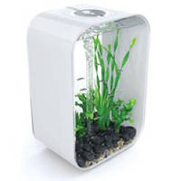 Акваріум BiOrb P6000WHT /0396 Life Square 60л білий