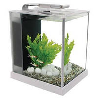 Акваріумний комплект Hagen Fluval Spec III 10L білий (10517)