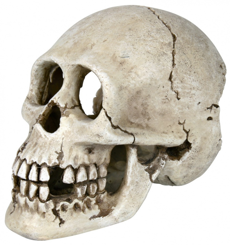 Декорація Trixie Skull для акваріума, поліефірна смола, 15 см