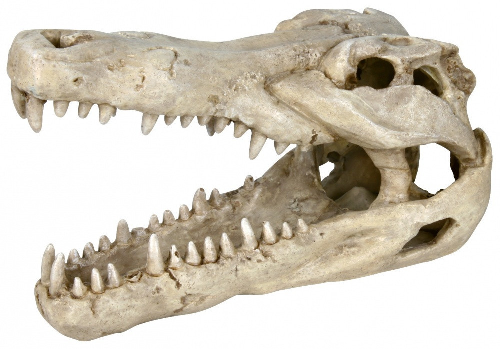 Декорація Trixie Crocodile Skull для акваріума, поліефірна смола, 14 см