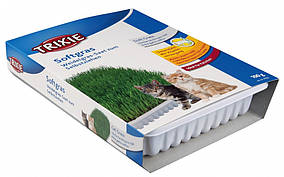 Трава Trixie Cat Grass для кішок м'яка, 100 г