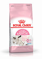 Сухий корм Royal Canin Mother and Babycat для кошенят до 4 місяців 2 кг