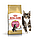 Royal Canin Maine Coon Kitten 2 кг для кят мейн кун, фото 3