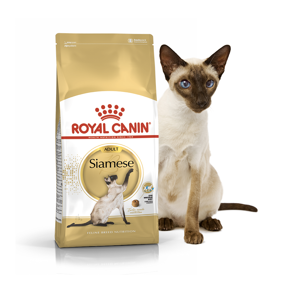 Royal Canin Siamese 10 кг для сіамських кішок