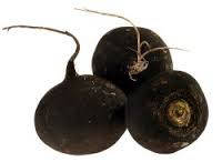 Редька зимова