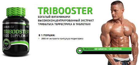 Трибулус BioTech USA Tribooster 60 таб, фото 3