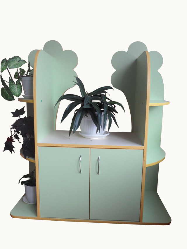 Уголок природы " Ромашка "