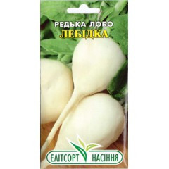 Насіння редьки Лобо Лебидка 3 р, фото 1