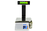 Ваги торговельні з чекодруком Digi SM-5100 P до 30 кг, фото 3