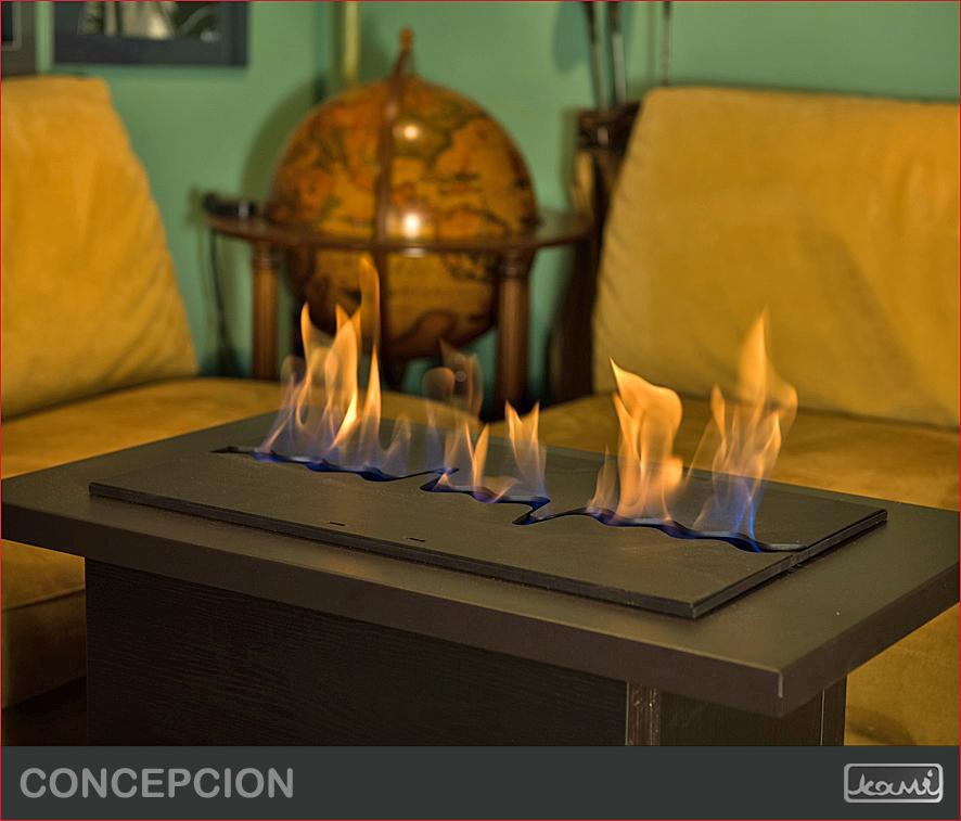 Біокамін KAMI Concercion, фото 1