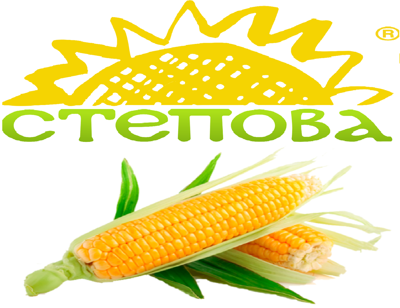 Семена кукурузы Любава 279 МВ ФАО 270 - фото 1 - id-p658767939